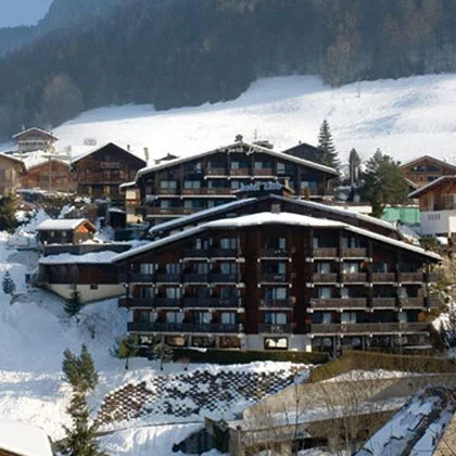 Hotel Le Petit Dru
